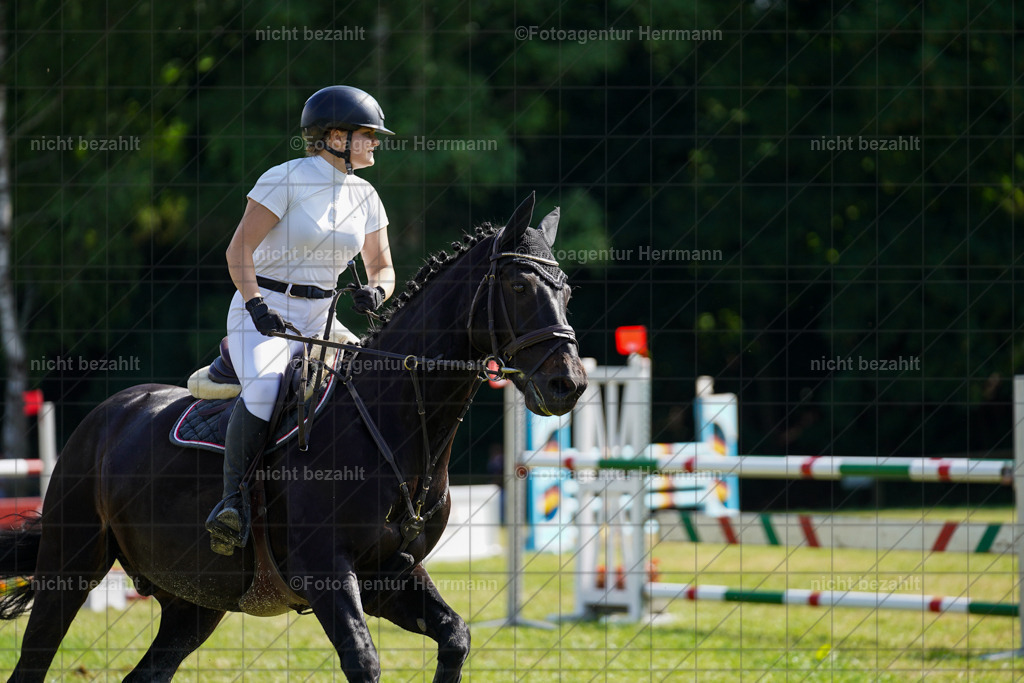 20230701-FAH02302 | Reitturnier Grafing, 2023, Grafing-Aiterndorf, Spribgturnier, Dressurturnier, Bilder, Qualifikation Nürnberger Burgpokal, Fotoagentur Herrmann, Turnierfotografen Bayern, Turnierbilder Bayern, Reitrsportfoto