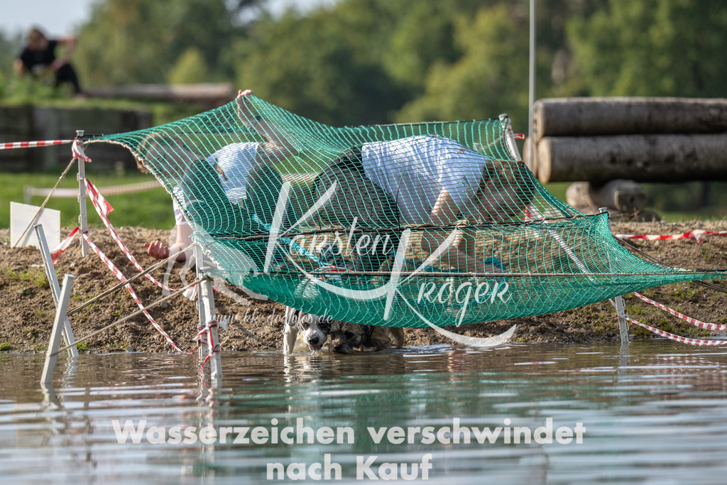 1247_ZZ93694 | kk-dogfotos