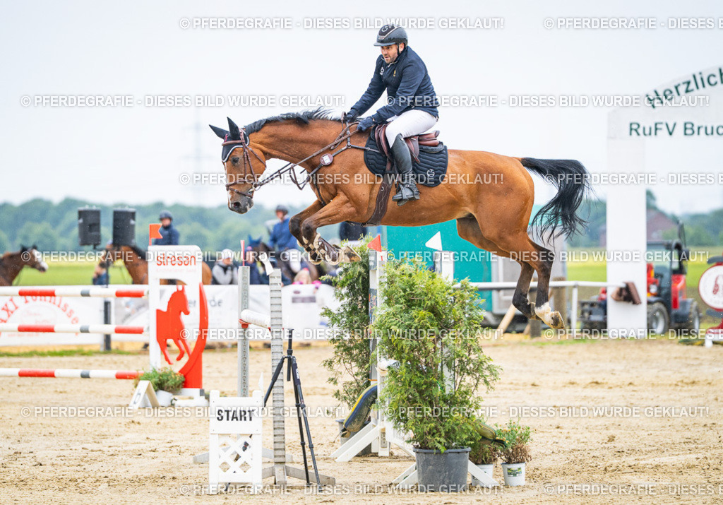 DSC090380 | Pferdegrafie