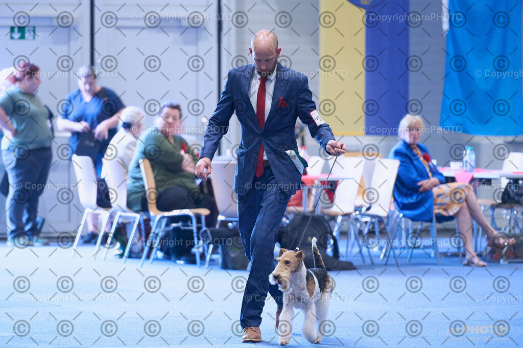 202406_ÖKV-IHA-Tulln24_DSC_3864 | proPHOTO - Realisiert mit Pictrs.com