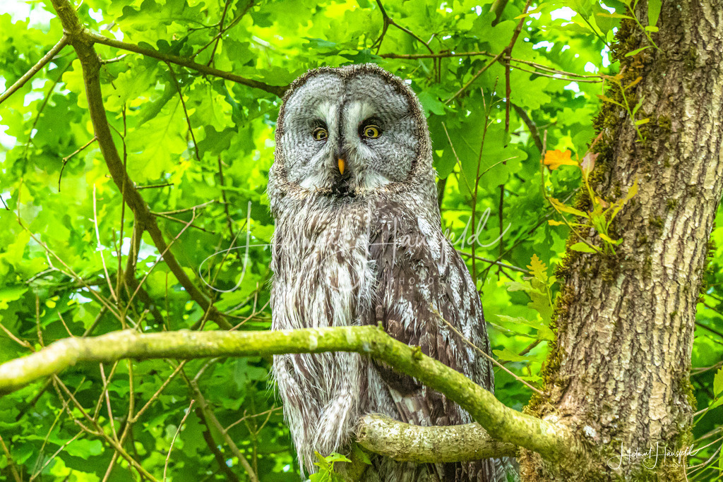 DSC09529 | Landschaftsfotografie, Naturfotografie - Realisiert mit Pictrs.com