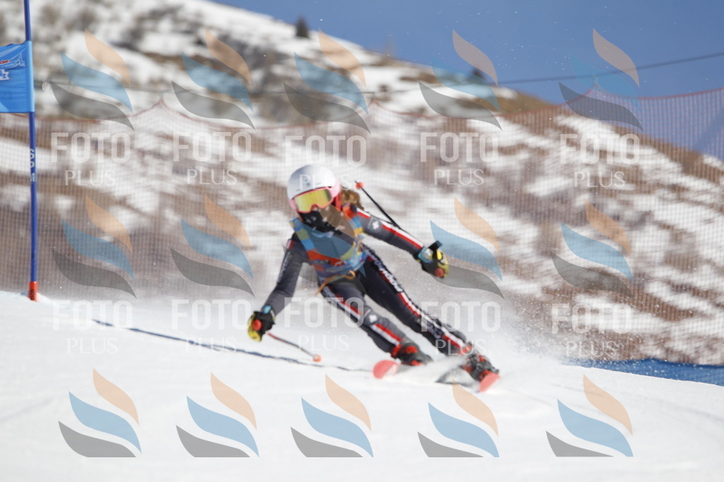 _U3G8582 | holidayphoto