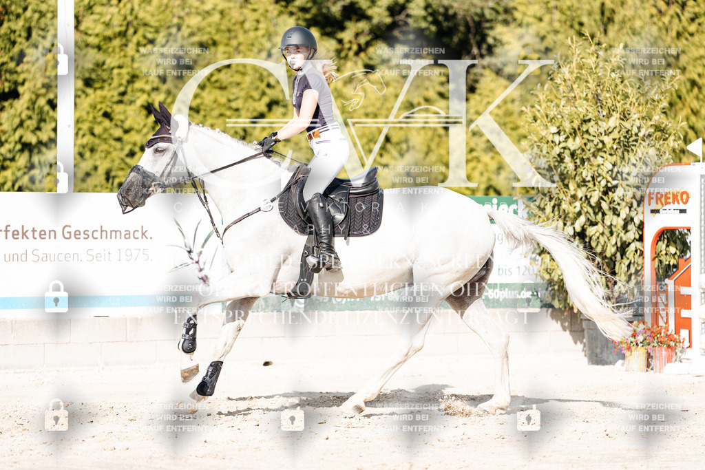 CK909309 | Turnierfotografie Pferdefotografie Trier Rheinland-Pfalz Pferdesport Reitsport Tierfotografie Sportfotografie Pferdevideo Pferdevideografie Equestrianvideography equestrianphotography  - Realisiert mit Pictrs.com
