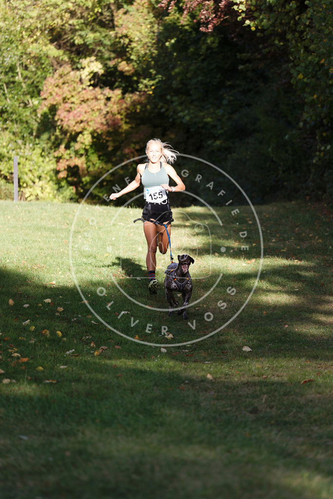 0L8A5159 | Hundefotografie, Tierfotograf, Pfotenfotografie, Fotoshooting Hund, Hunde Portrait, Hundesport, Hundeportraits, Heideshooting, Hunde, Sportfotograf, Hundefotograf, Turnierhundsport, THS,  - Realisiert mit Pictrs.com