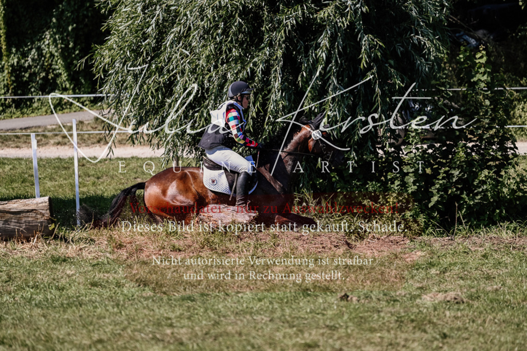 DSC_1568 | Pferde- und Turnierfotografie in Westsachsen. Pferdeportraits, Auftragszeichnungen und intuitive Kunst.
