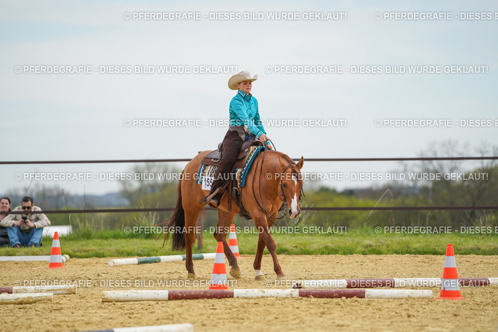 DSC03092 | Pferdegrafie