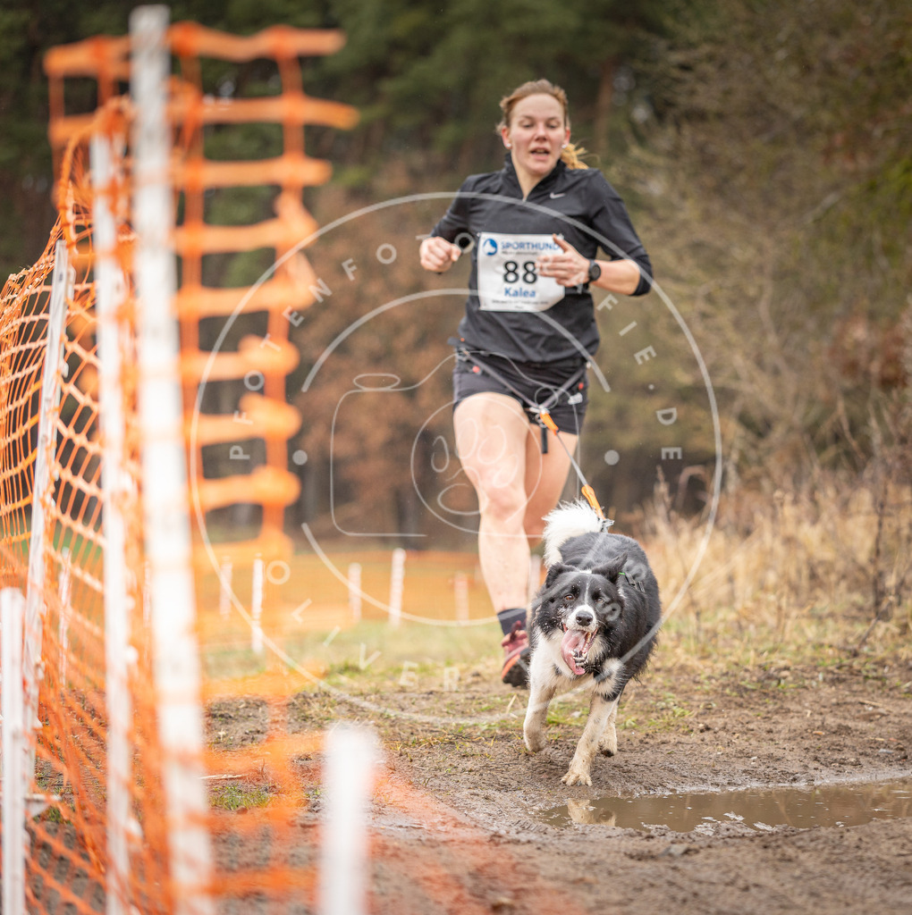 DV3A0390 | Hundefotografie, Tierfotograf, Pfotenfotografie, Fotoshooting Hund, Hunde Portrait, Hundesport, Hundeportraits, Heideshooting, Hunde, Sportfotograf, Hundefotograf, Turnierhundsport, THS,  - Realisiert mit Pictrs.com