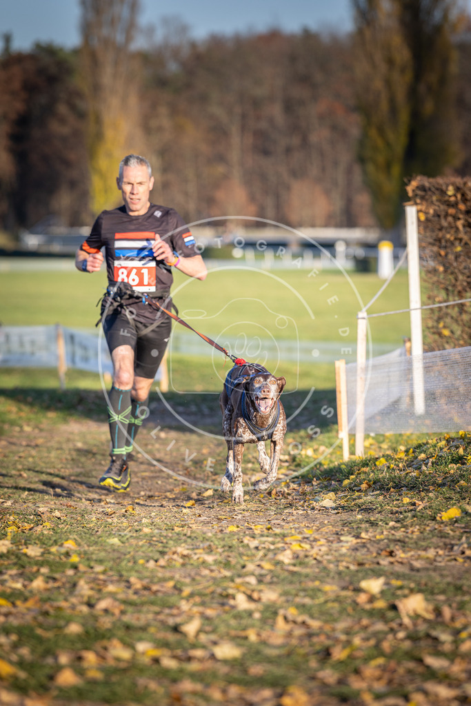CaniXpix_DV3A4050 | Hundefotografie, Tierfotograf, Pfotenfotografie, Fotoshooting Hund, Hunde Portrait, Hundesport, Hundeportraits, Heideshooting, Hunde, Sportfotograf, Hundefotograf, Turnierhundsport, THS,  - Realisiert mit Pictrs.com