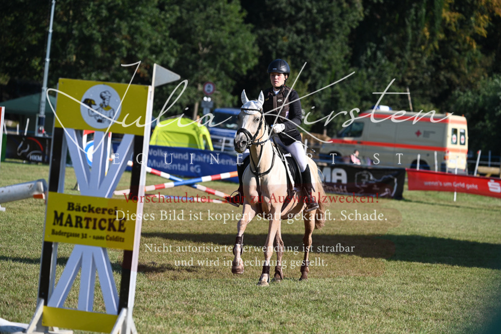 DSC_5034 | Pferde- und Turnierfotografie in Westsachsen. Pferdeportraits, Auftragszeichnungen und intuitive Kunst.
