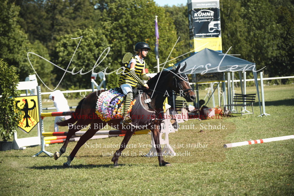 DSC_7683 | Pferde- und Turnierfotografie in Westsachsen. Pferdeportraits, Auftragszeichnungen und intuitive Kunst.