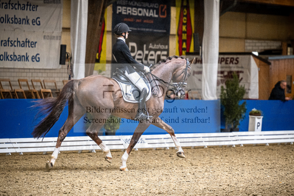 DOS_4054 | Entdecke hochwertige Reitturnierfotos von Foto Oger. Professionell, emotional und authentisch – jetzt Lieblingsmomente im Shop bestellen.Deutschlandweite Turnierfotografie. - Realisiert mit Pictrs.com