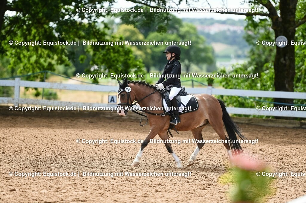 20230716_10-3_Reiter-WB Schritt - Trab - Galopp_0147 | equistock