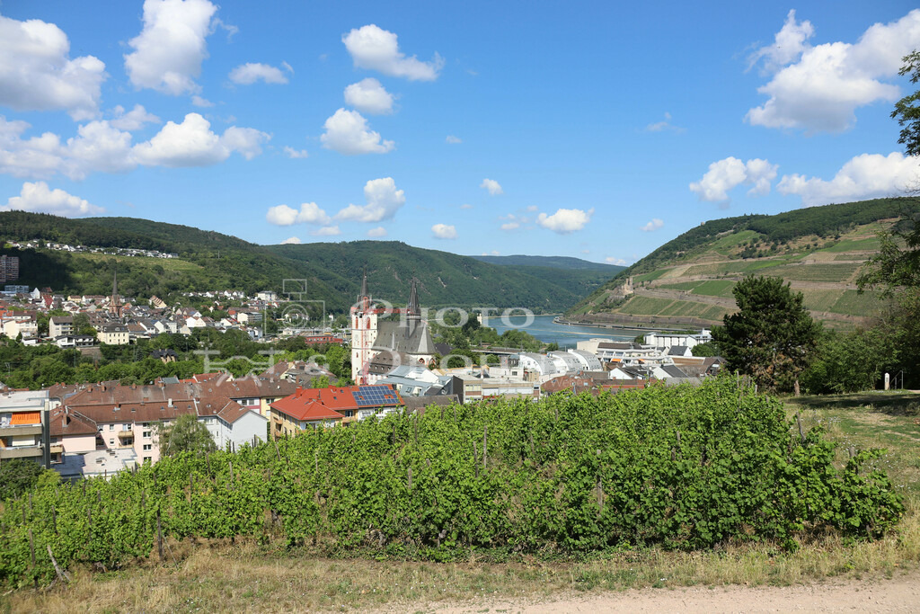Burg Klopp-7884 | Von der Burg Klopp gibtes einen schönen Ausblick auf die Landschaft des Oberen Mittelrheins und die Stadt Bingen. Schöner Platz um Fotos zu machen. - Realisiert mit Pictrs.com