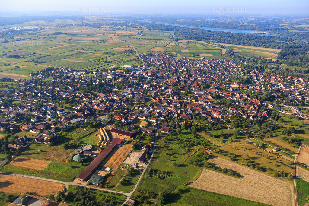 Luftbild: Dorfübersicht aus Norden im Ortsteil Ottenheim in Schwanau im Bundesland Baden-Württemberg in Deutschland. Foto: IMG_093210.jpg vom 16.08.2016 durch Werner Riehm/FLY-FOTO.de