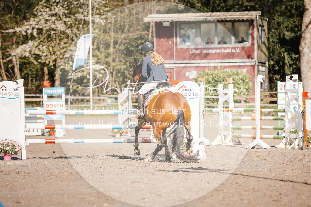 3I6A3743 | Stimmungsvolle Portraits und Reitsportfotografie im Ruhrgebiet und im Münsterland.

Pferdefotografie, Hundefotografie, Tierfotografie, Reportagen, Portraits von Tier und Mensch, Turnierfotografie in Bochum, Recklinghausen, Marl, Haltern am See, Dülmen.. - Realisiert mit Pictrs.com