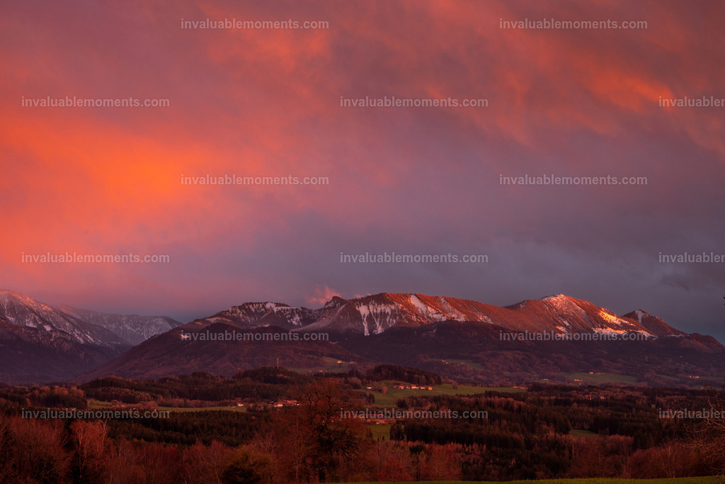 _DSC1503 | invaluablemoments.com - Realisiert mit Pictrs.com