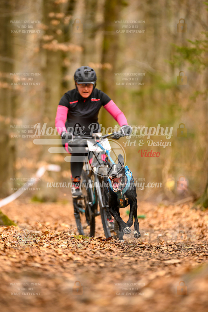 MompixPhotography_Habay2025_SA_Bike-112 | PayLife