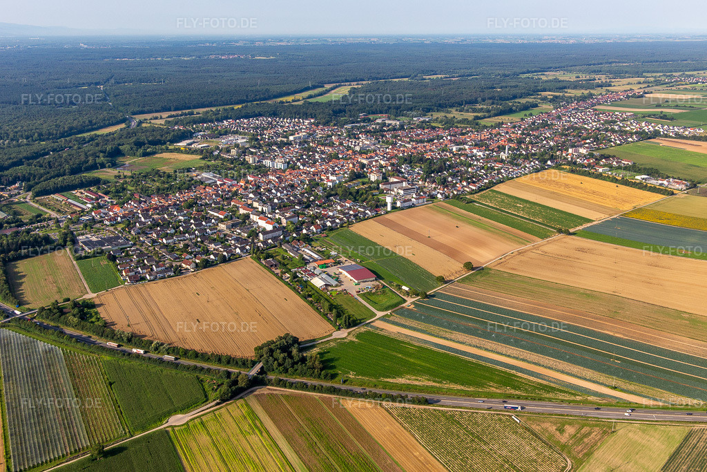 Luftbild: Ortsansicht von Nordosten in Kandel im Bundesland Rheinland-Pfalz in Deutschland. Foto: IMG_142893.jpg vom 19.07.2024 durch Werner Riehm/FLY-FOTO.de