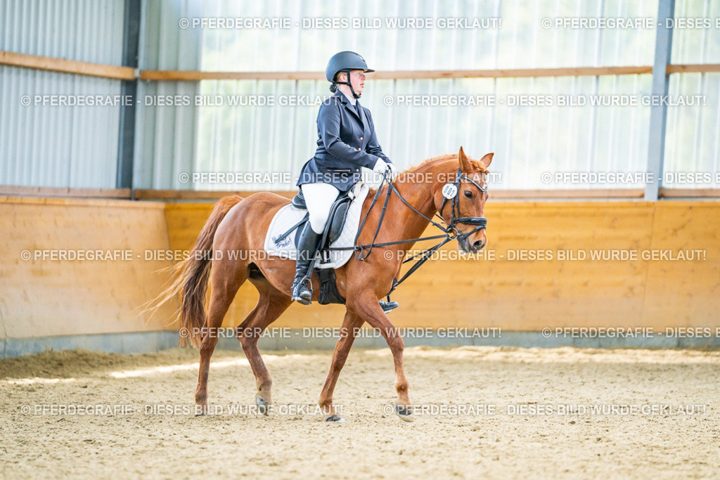 DSC04979 | Pferdegrafie