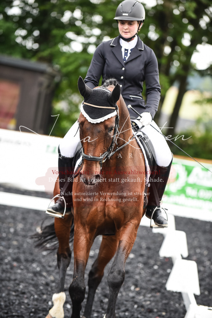 DSC_2703 | Pferde- und Turnierfotografie in Westsachsen. Pferdeportraits, Auftragszeichnungen und intuitive Kunst.