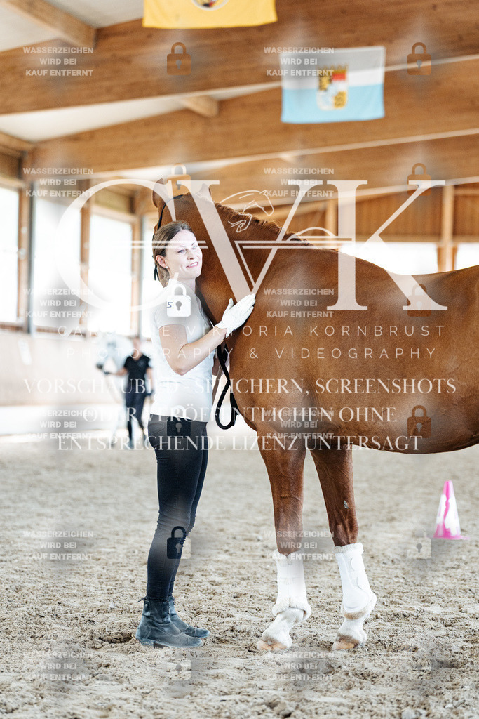 CK907699 | Turnierfotografie Pferdefotografie Trier Rheinland-Pfalz Pferdesport Reitsport Tierfotografie Sportfotografie Pferdevideo Pferdevideografie Equestrianvideography equestrianphotography  - Realisiert mit Pictrs.com