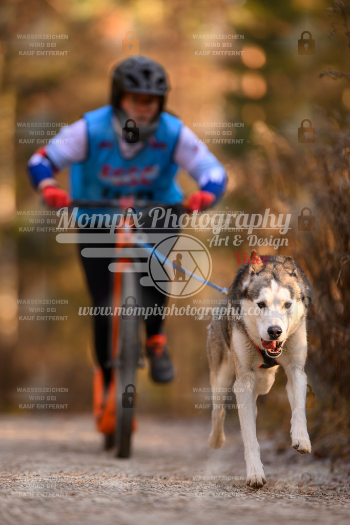 MompixPhotography_DM_AKDM_SO_2025_Scooter-228 | PayLife