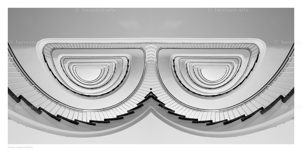 selbstbegegnung_10_03_24_einzeln28 | Photo Foto Kunst Art schwarzweiss Bilder Rheine Münster Berlin Blumen 