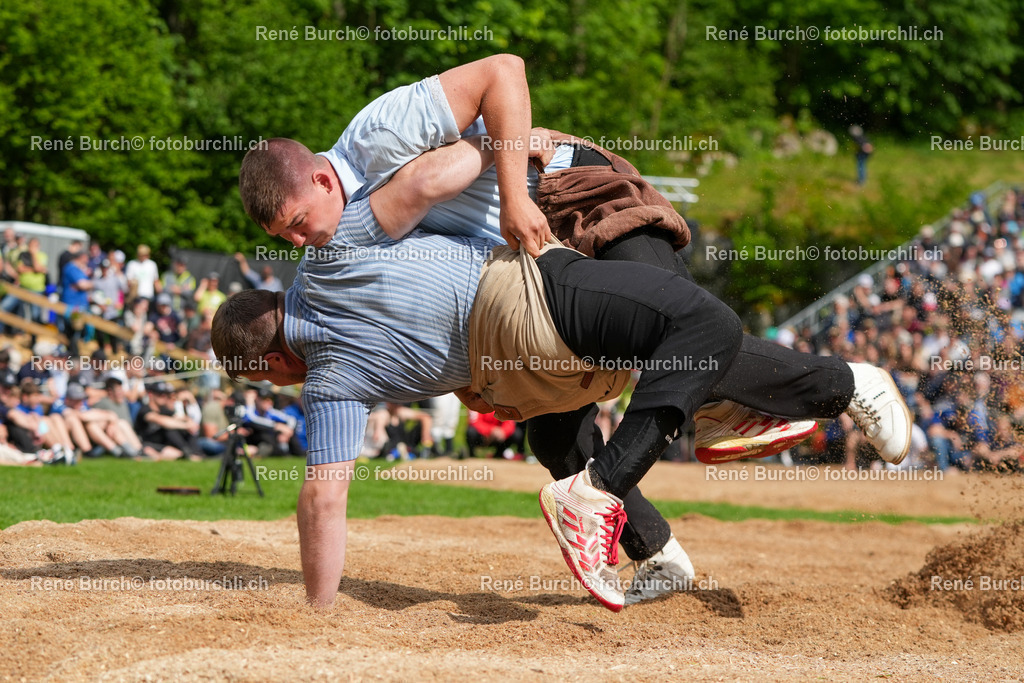 RB-00530 | René Burch leidenschaftlicher Fotograf aus Kerns in Obwalden.  Hier finden sie Sport, Landschaft und Natur Fotografie.
 - Realisiert mit Pictrs.com
