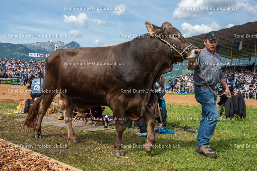 RB_02439 | René Burch leidenschaftlicher Fotograf aus Kerns in Obwalden.  Hier finden sie Sport, Landschaft und Natur Fotografie.
 - Realisiert mit Pictrs.com