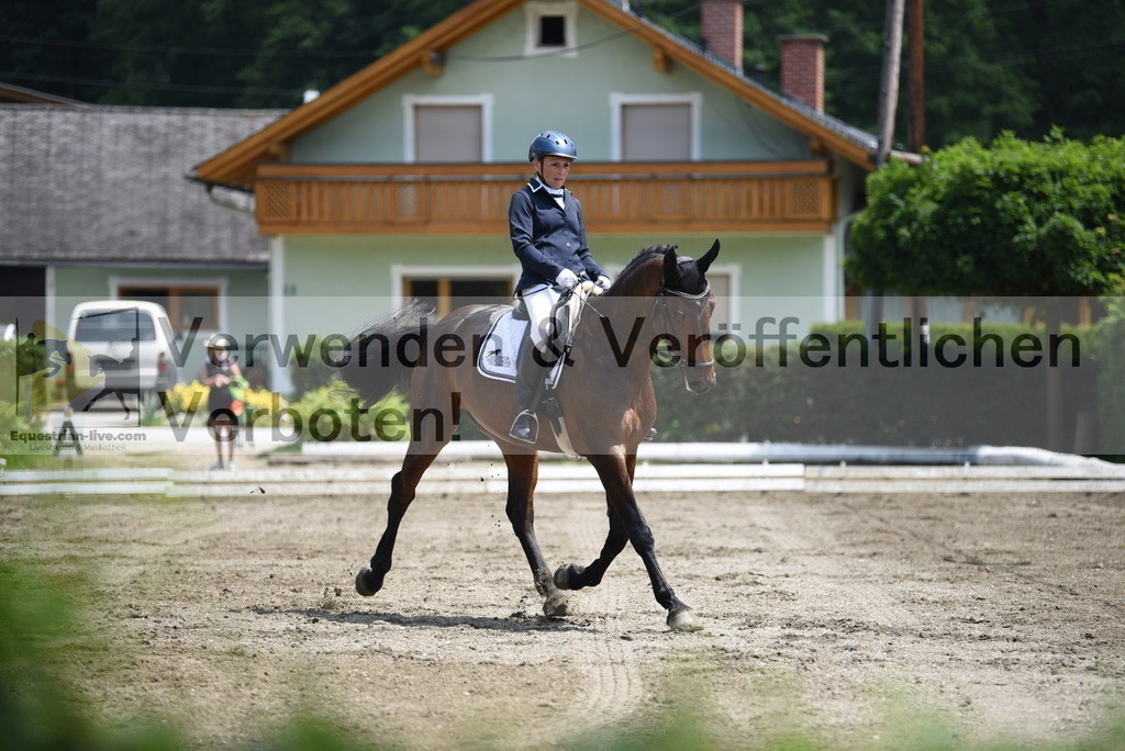 DSC_9420 | equestrian-live-com