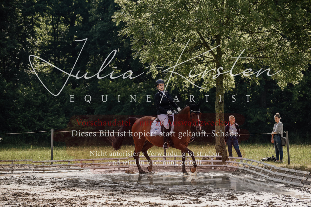 DSC_9057 | Pferde- und Turnierfotografie in Westsachsen. Pferdeportraits, Auftragszeichnungen und intuitive Kunst.