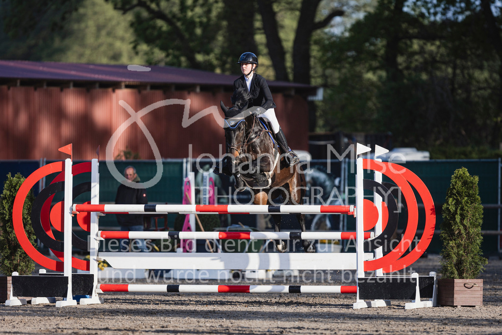 250506_Mühlen_Youngster-M-627 | Deine schönsten Turniermomente als professionelle Fotos! Entdecke hochwertige Pferdesport-Fotografie im Online-Shop. Jetzt Fotos finden & bestellen!