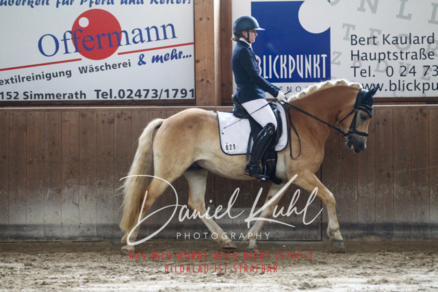 DKP44209 | Turniersportfotografie; Pferdefotografie; Dressurfotografie