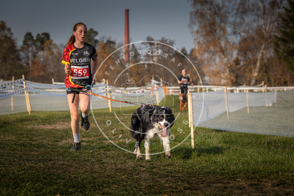 CaniXpix_0L8A9300 | Hundefotografie, Tierfotograf, Pfotenfotografie, Fotoshooting Hund, Hunde Portrait, Hundesport, Hundeportraits, Heideshooting, Hunde, Sportfotograf, Hundefotograf, Turnierhundsport, THS,  - Realisiert mit Pictrs.com