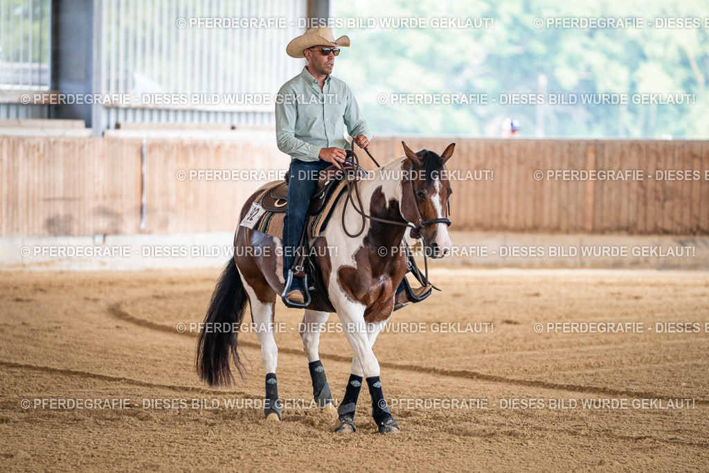 DSC04060 | Pferdegrafie