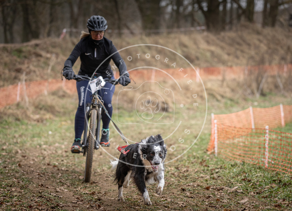 Pfotenfotografie_DV3A5838 | Hundefotografie, Tierfotograf, Pfotenfotografie, Fotoshooting Hund, Hunde Portrait, Hundesport, Hundeportraits, Heideshooting, Hunde, Sportfotograf, Hundefotograf, Turnierhundsport, THS,  - Realisiert mit Pictrs.com