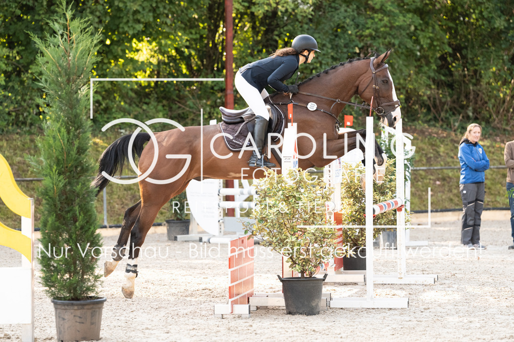 DSC01751 | Carolin Gieschke