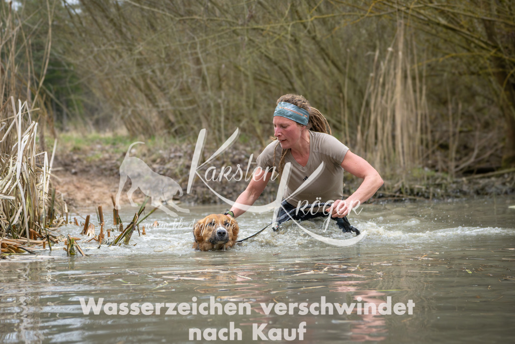 1330_ZZ99592 | kk-dogfotos