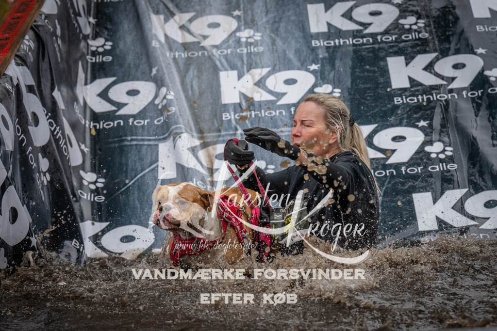 1210_ZZ94617 | kk-dogfotos