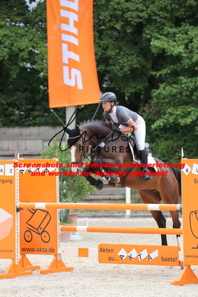 IMG_7824 | lmwpictures - Realisiert mit Pictrs.com