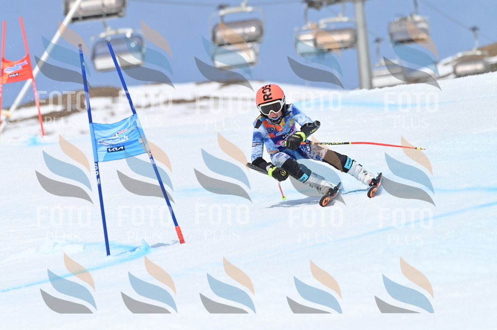 BGV_3024 | holidayphoto