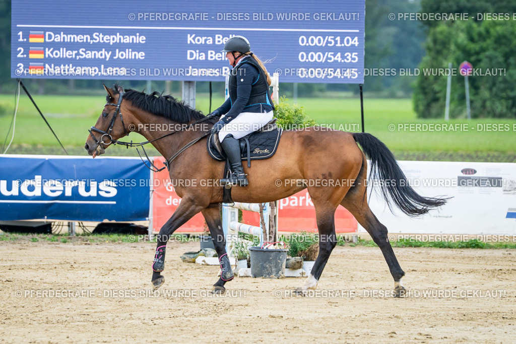 DSC03816 | Pferdegrafie