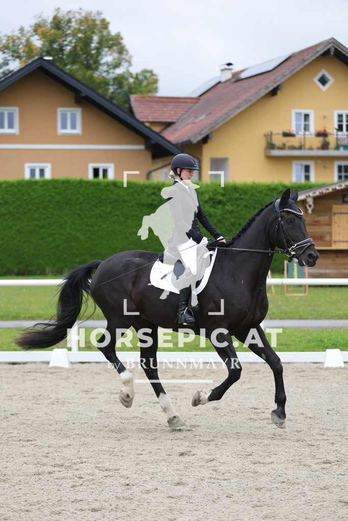0P6A8639 | Willkommen bei Brunnmayr - Design & Fotografie – Ihrem Spezialisten für Reitturniere und Pferdeveranstaltungen in Oberösterreich, Salzburg und Bayern! Seit über 17 Jahren sind wir leidenschaftlich dabei.