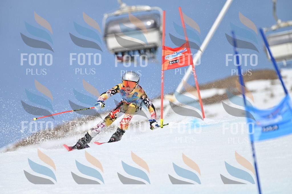 BGV_3194 | holidayphoto