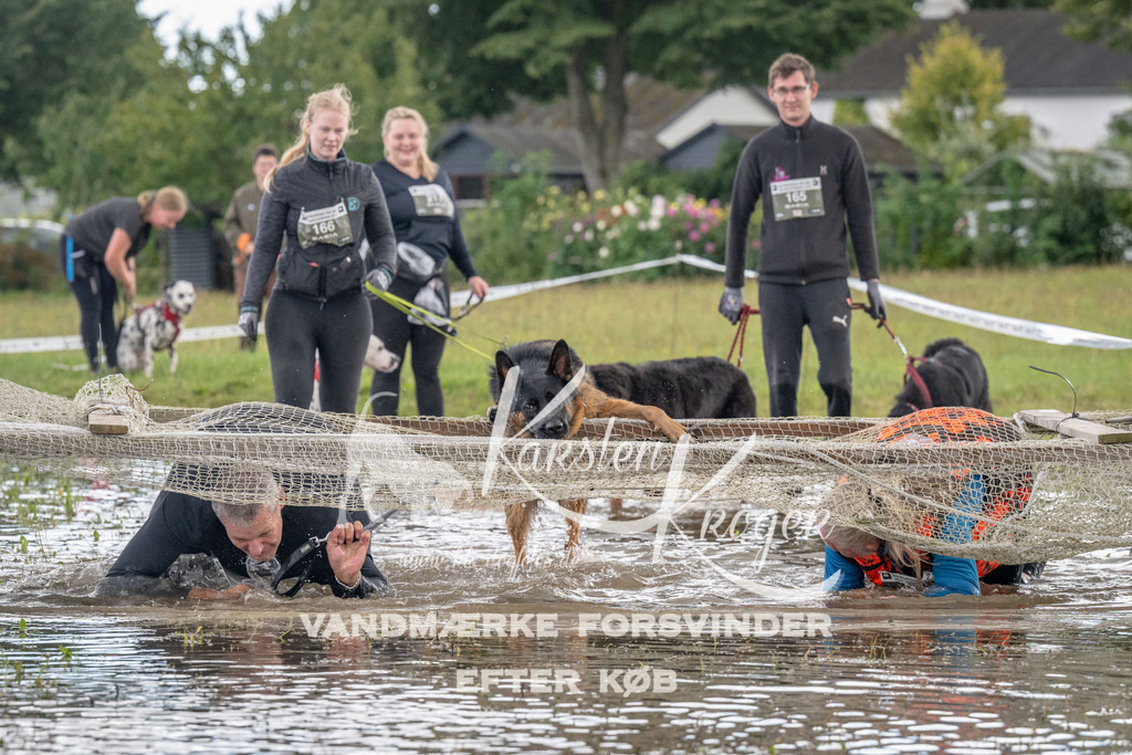 1500_ZZ90696 | kk-dogfotos