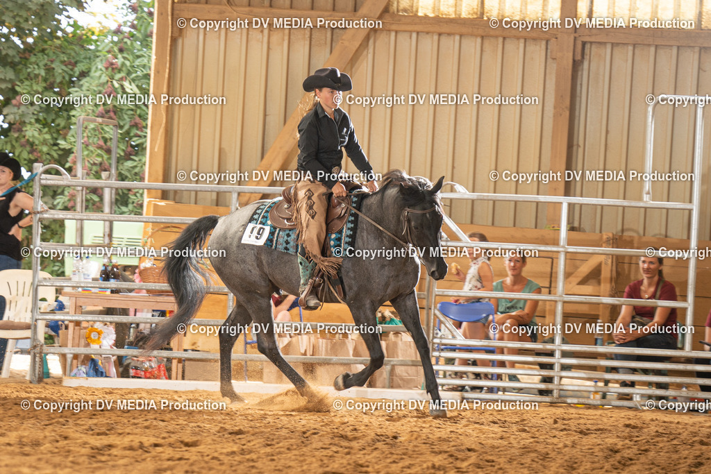 NID01369 | dv-media-shop - Realisiert mit Pictrs.com