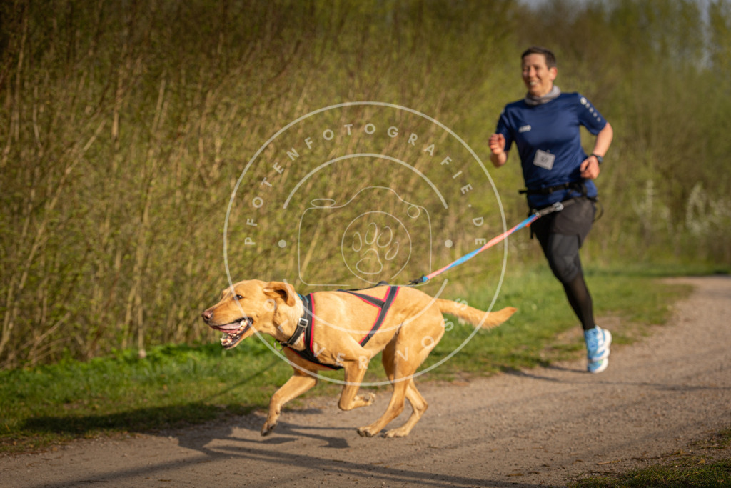 Pfotenfotografie_DV3A4683 | Hundefotografie, Tierfotograf, Pfotenfotografie, Fotoshooting Hund, Hunde Portrait, Hundesport, Hundeportraits, Heideshooting, Hunde, Sportfotograf, Hundefotograf, Turnierhundsport, THS,  - Realisiert mit Pictrs.com