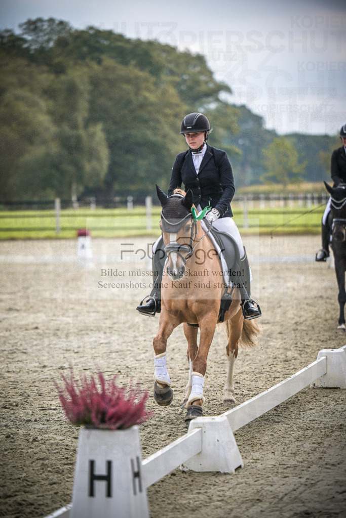 DOS_B320 | Entdecke hochwertige Reitturnierfotos von Foto Oger. Professionell, emotional und authentisch – jetzt Lieblingsmomente im Shop bestellen.Deutschlandweite Turnierfotografie. - Realisiert mit Pictrs.com