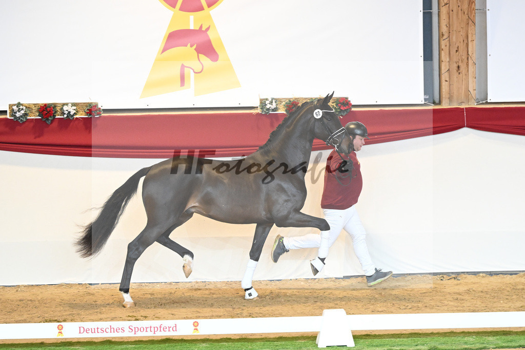 Kat-Nr. 62 Le Formidable_Rothenberger_1230364 | hf-fotografie - Realisiert mit Pictrs.com