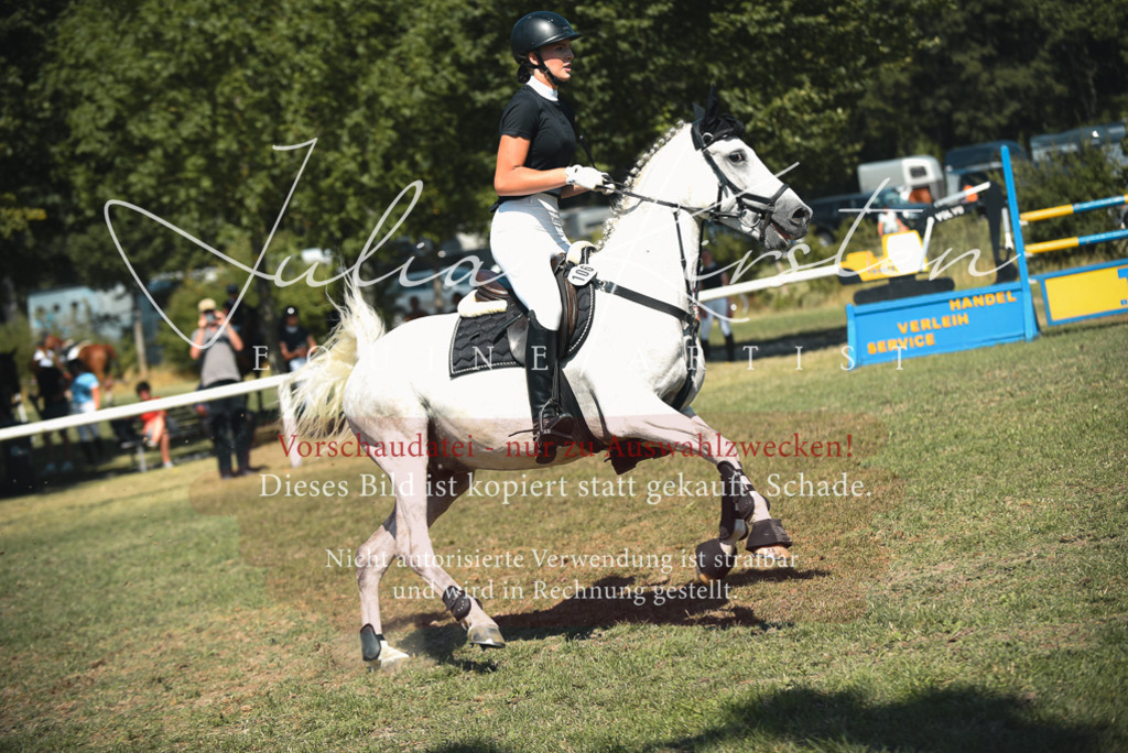 DSC_6891 | Pferde- und Turnierfotografie in Westsachsen. Pferdeportraits, Auftragszeichnungen und intuitive Kunst.